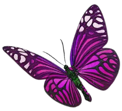 Woodside Bereavement Service logo